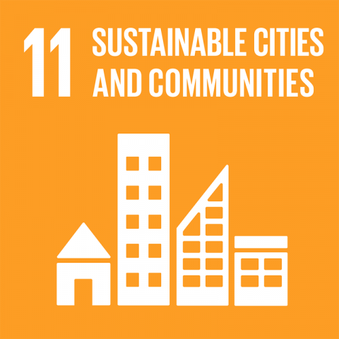 SDG11 sustainable cities