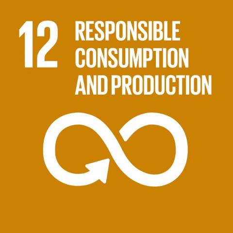 SDG12 responsible consumption
