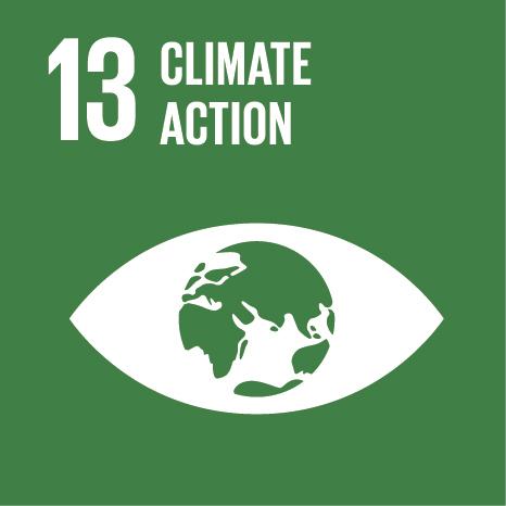 SDG13 climate action