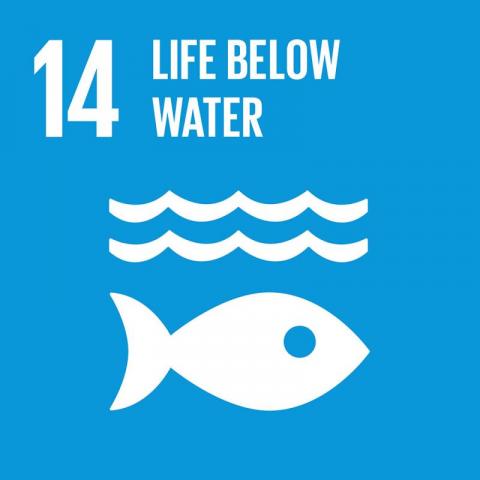 SDG14 life below water