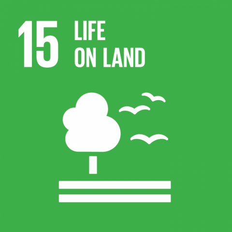 SDG15 life on land