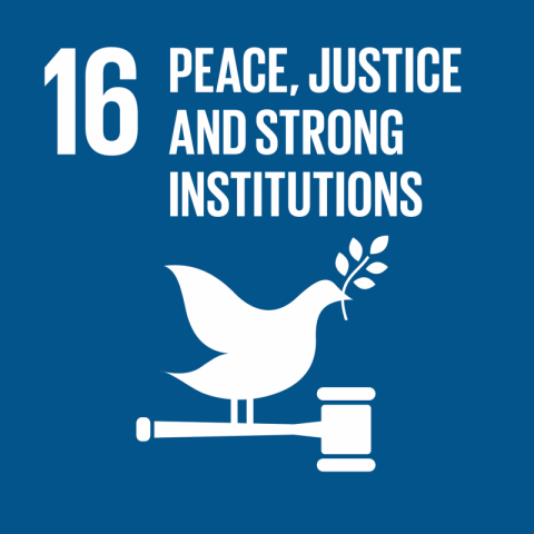 SDG16 peace justice strong institutions