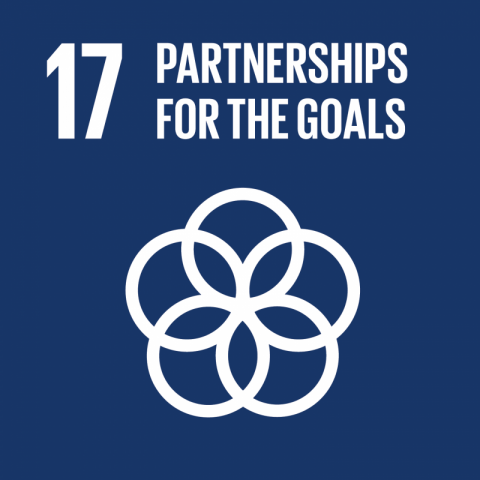 SDG17 partnerships goals