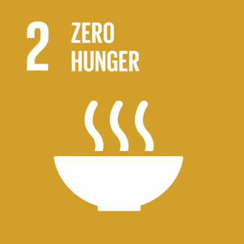 SDG2 zero hunger